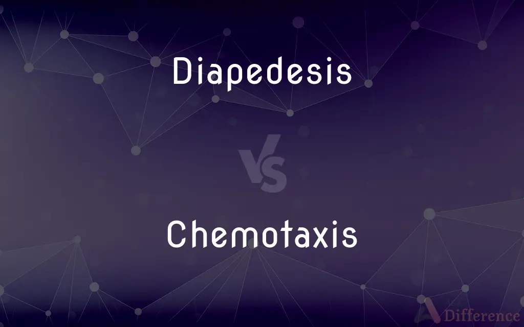 Diapedesis vs. Chemotaxis — What's the Difference?