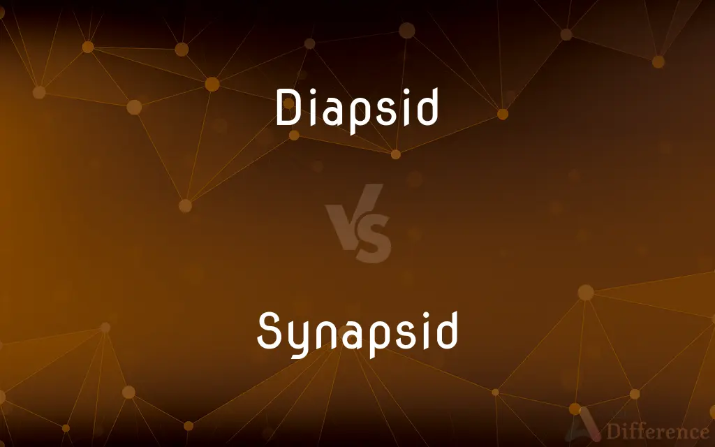 Diapsid vs. Synapsid — What's the Difference?