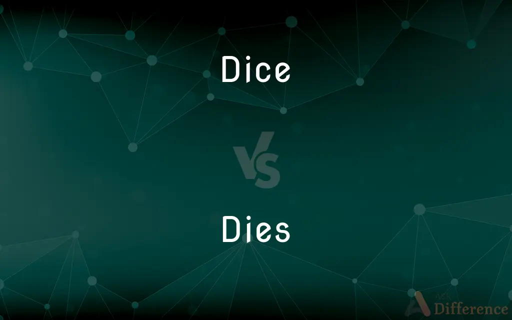 Dice vs. Dies — What's the Difference?