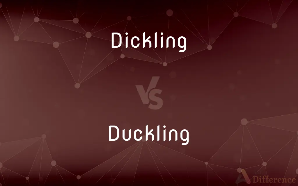 Dickling vs. Duckling — What's the Difference?
