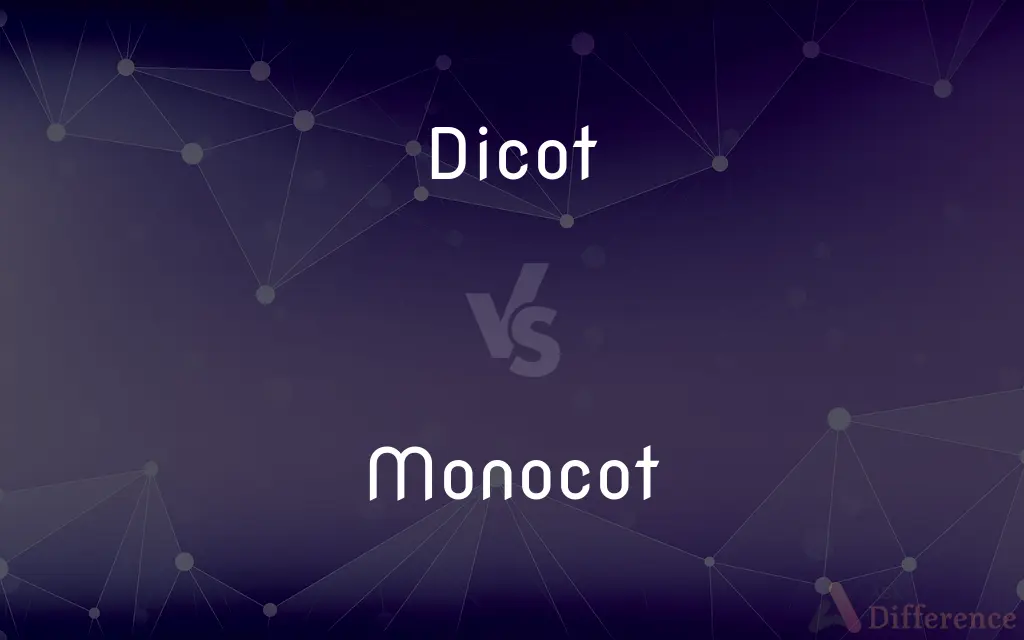 Dicot vs. Monocot — What's the Difference?