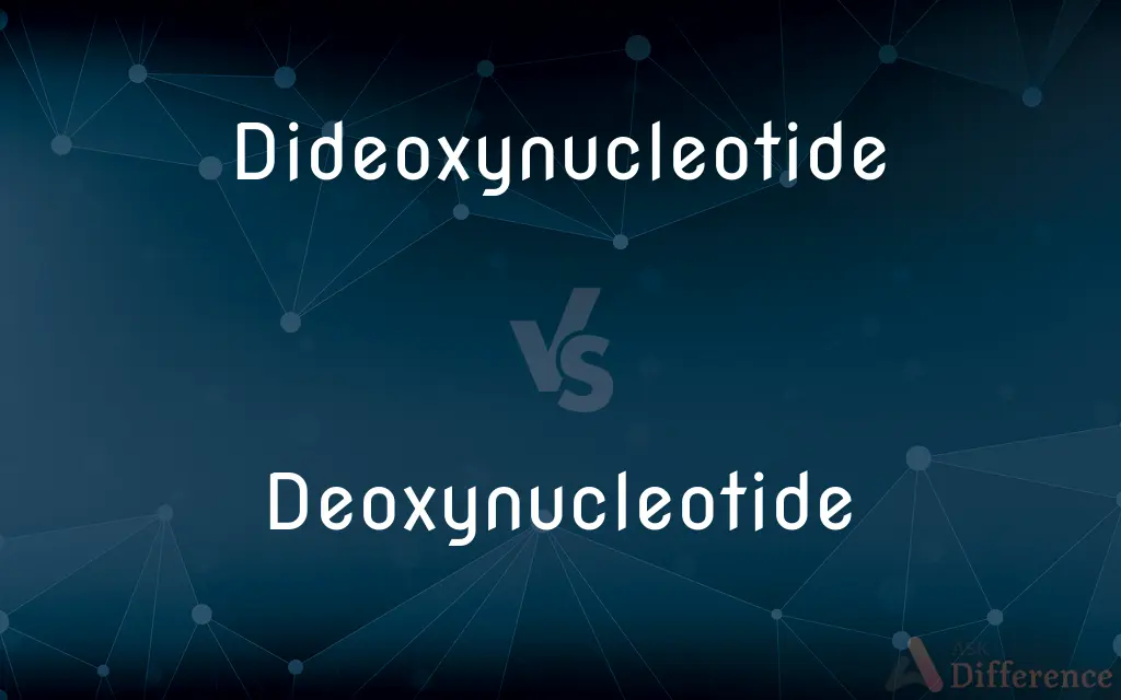 Dideoxynucleotide vs. Deoxynucleotide — What's the Difference?