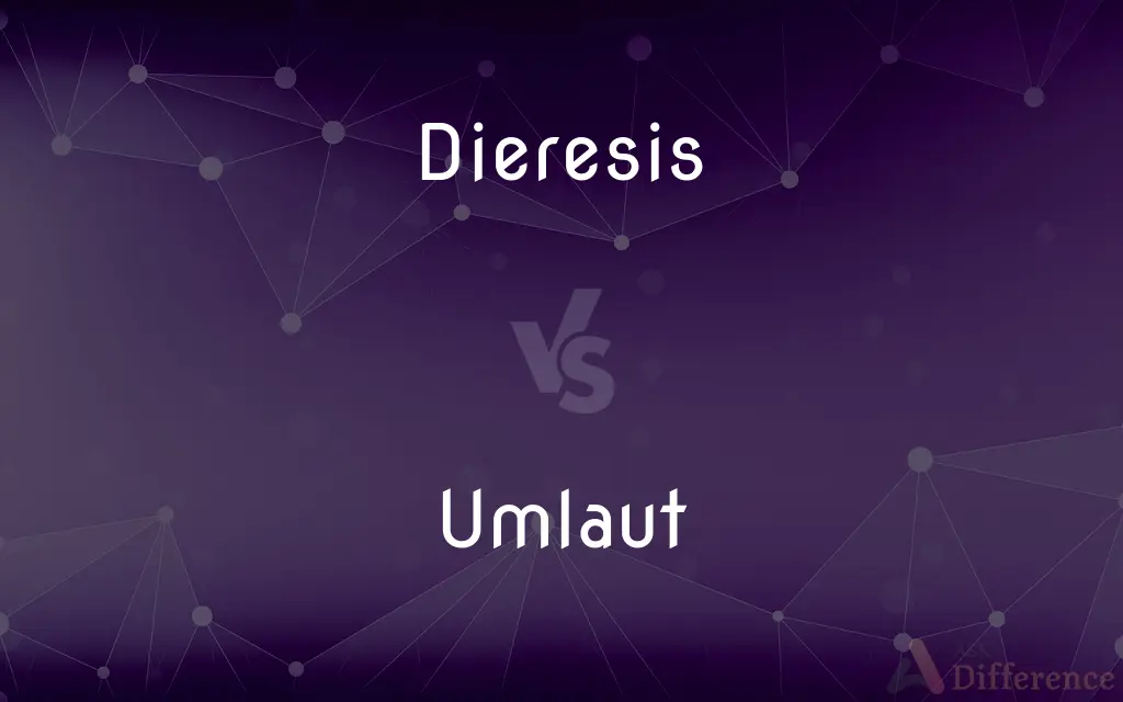 Dieresis vs. Umlaut — What's the Difference?