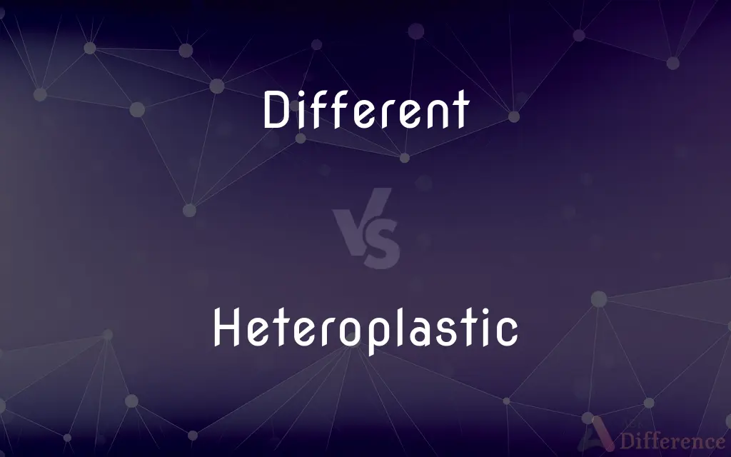Different vs. Heteroplastic — What's the Difference?
