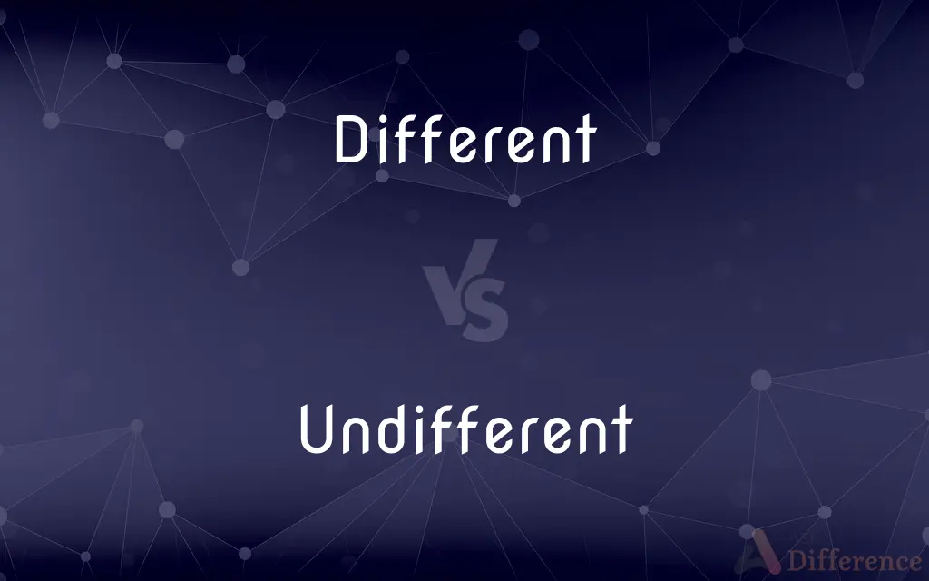 Different vs. Undifferent — What's the Difference?