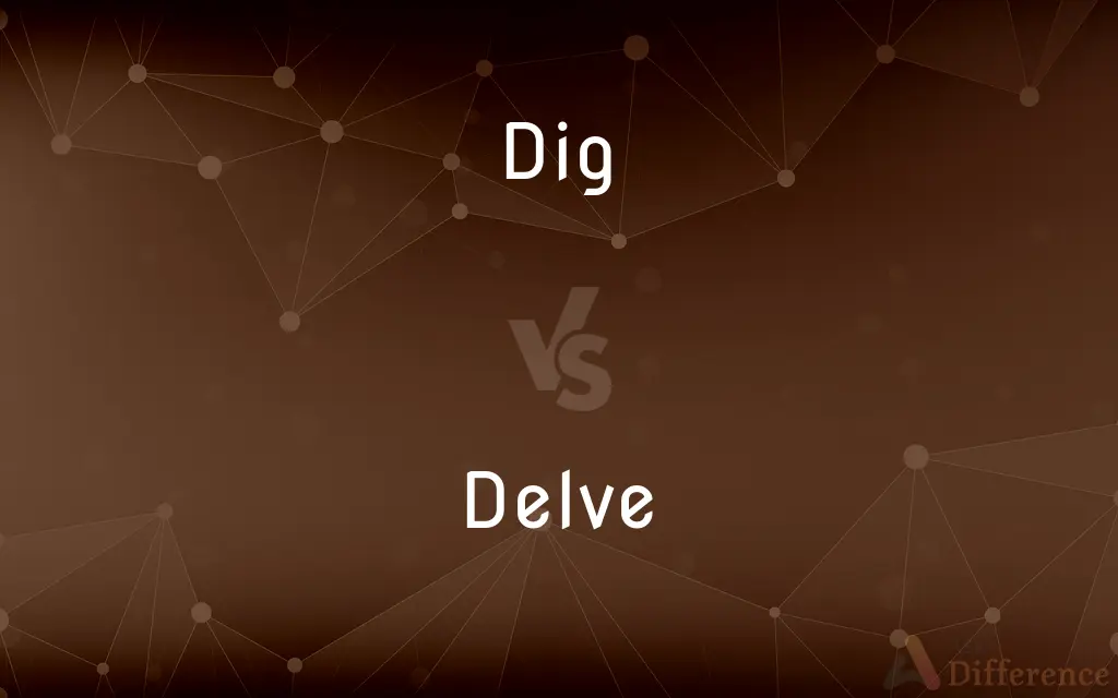 Dig vs. Delve — What's the Difference?