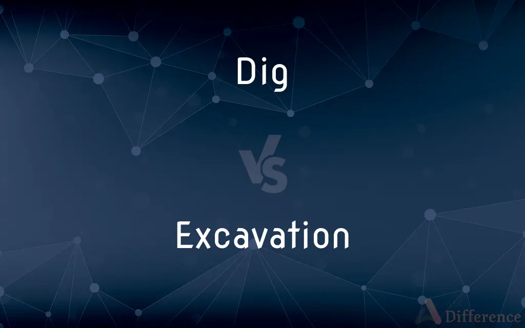 Dig vs. Excavation — What's the Difference?