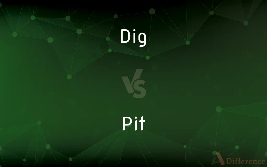 Dig vs. Pit — What's the Difference?