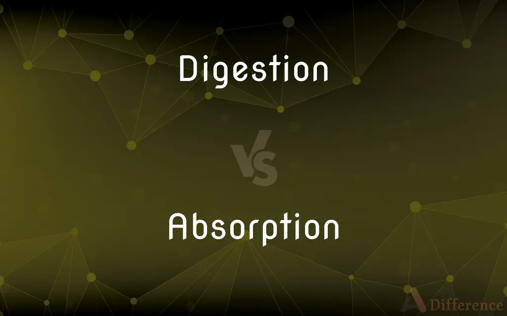 Digestion vs. Absorption — What's the Difference?