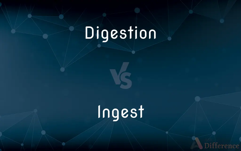 Digestion vs. Ingest — What's the Difference?