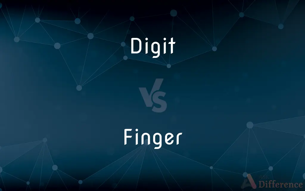 Digit vs. Finger — What's the Difference?