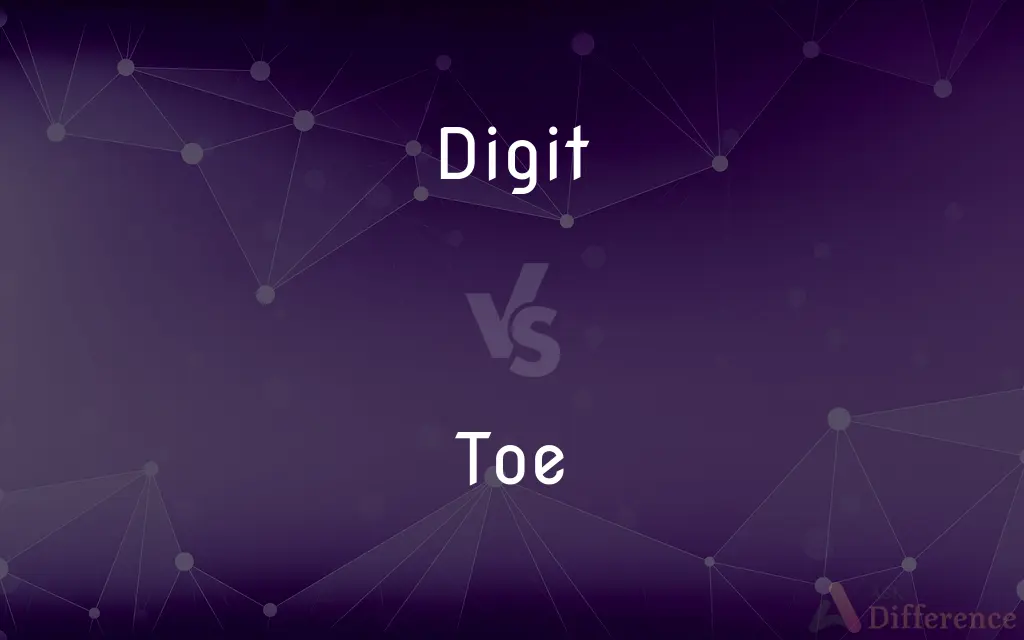 Digit vs. Toe — What's the Difference?