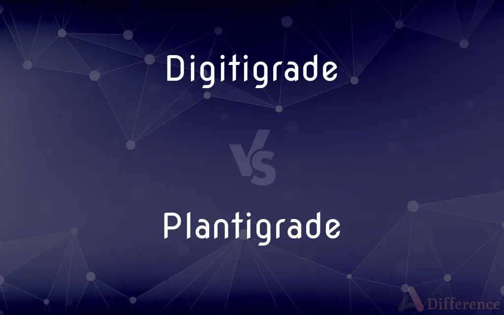Digitigrade vs. Plantigrade — What's the Difference?