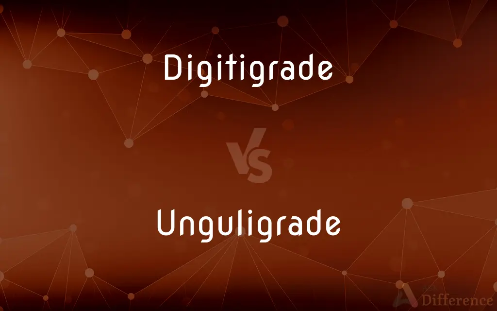 Digitigrade vs. Unguligrade — What's the Difference?