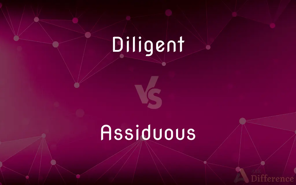 Diligent vs. Assiduous — What's the Difference?