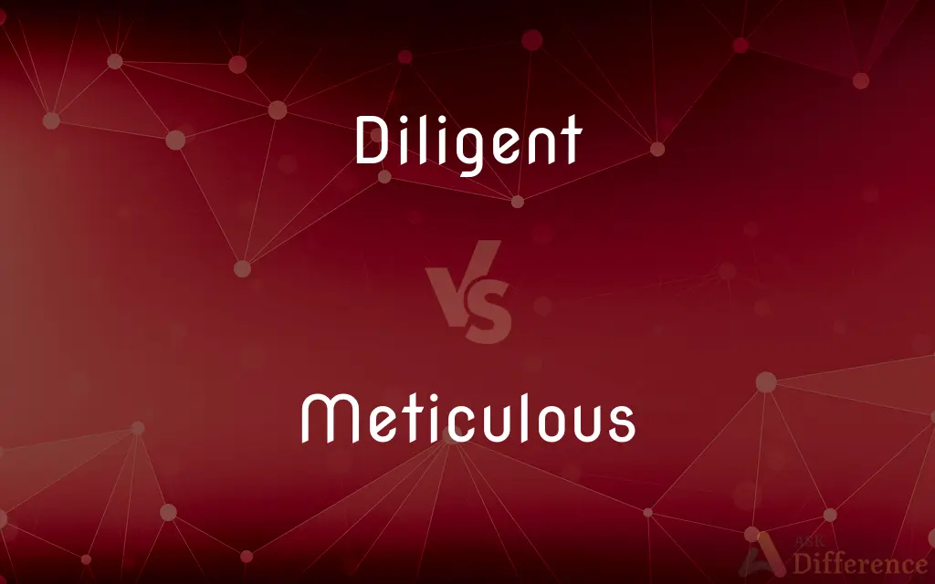 Diligent vs. Meticulous — What's the Difference?