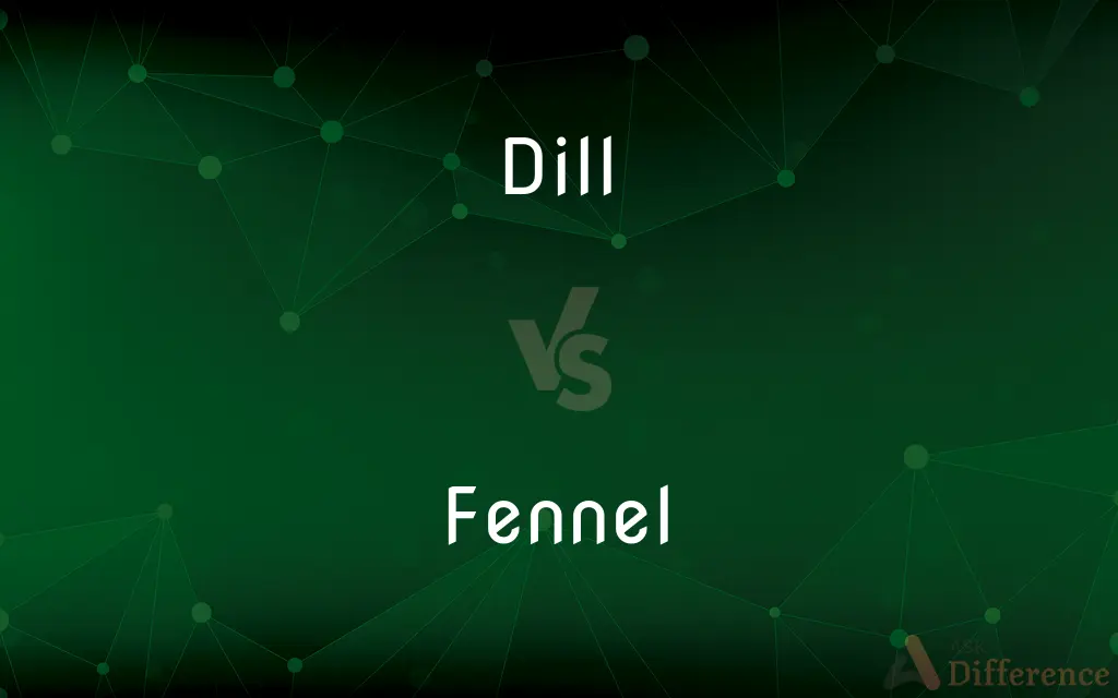 Dill vs. Fennel — What's the Difference?