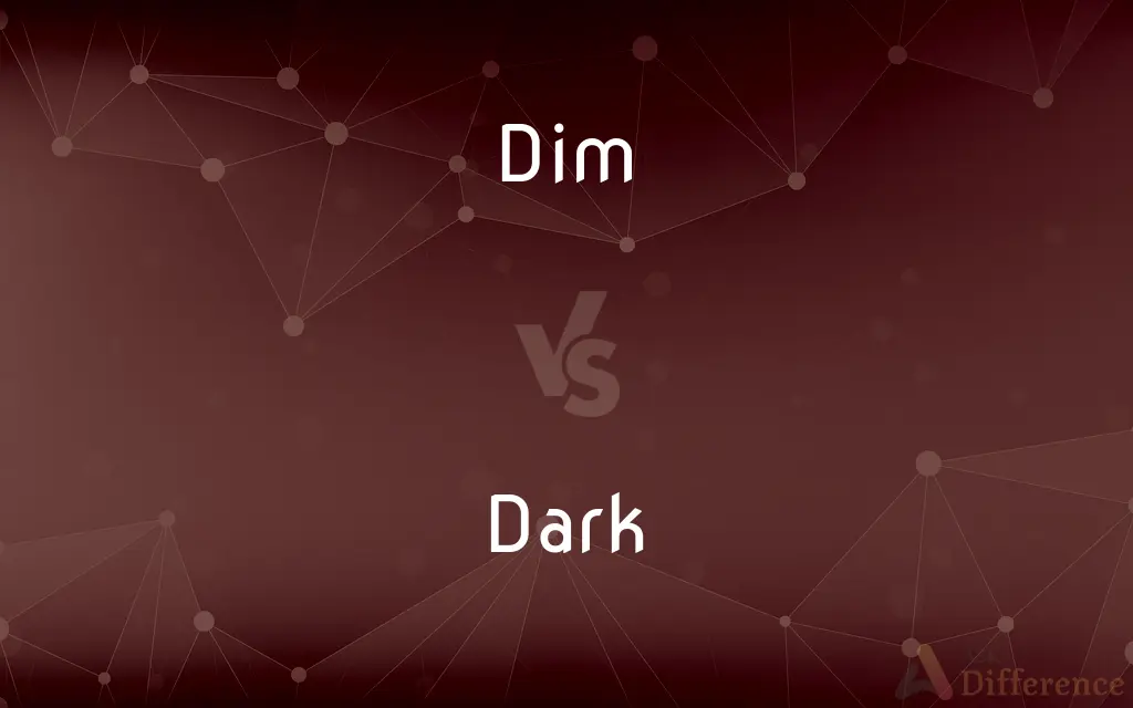 Dim vs. Dark — What's the Difference?
