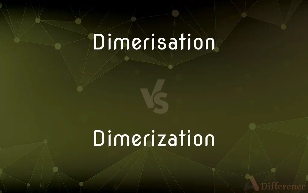 Dimerisation vs. Dimerization — Which is Correct Spelling?