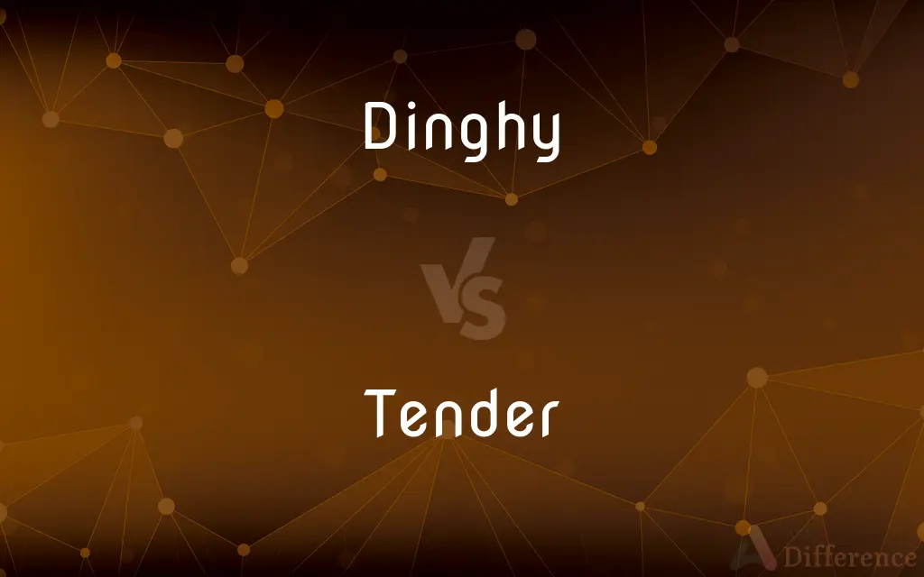 Dinghy vs. Tender — What's the Difference?