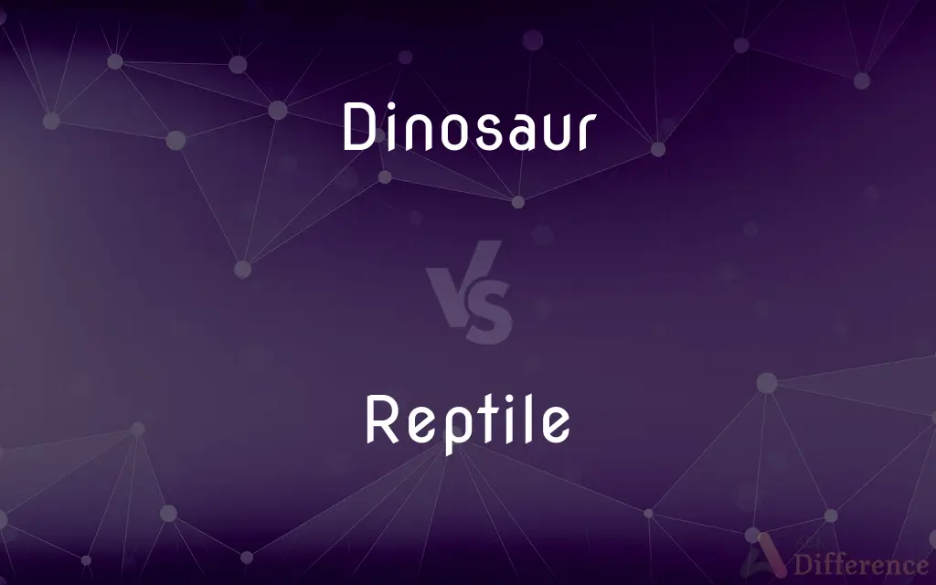 Dinosaur vs. Reptile — What's the Difference?