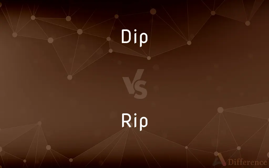 Dip vs. Rip — What's the Difference?