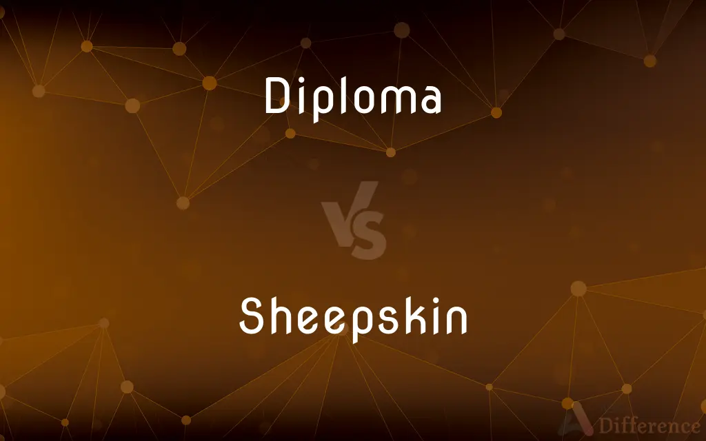 Diploma vs. Sheepskin — What's the Difference?