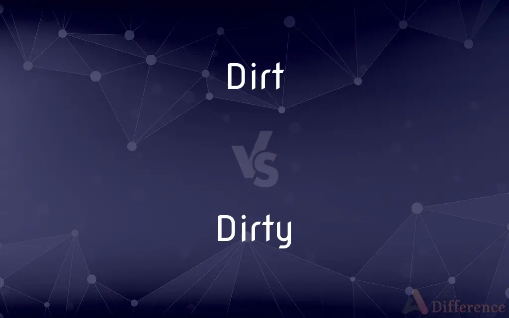 Dirt vs. Dirty — What's the Difference?