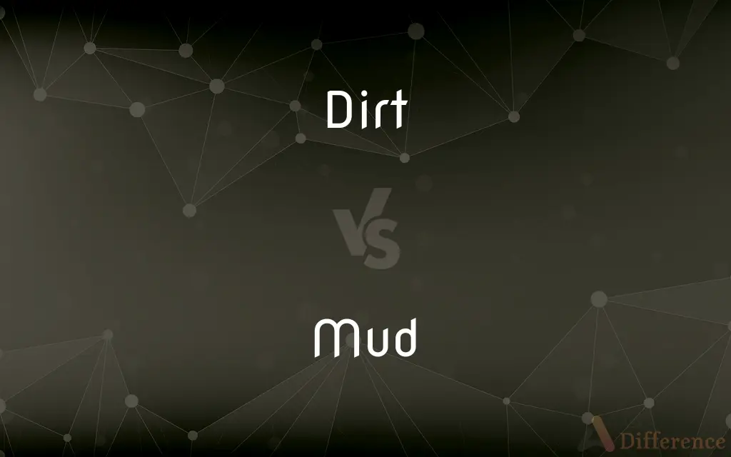 Dirt vs. Mud — What's the Difference?