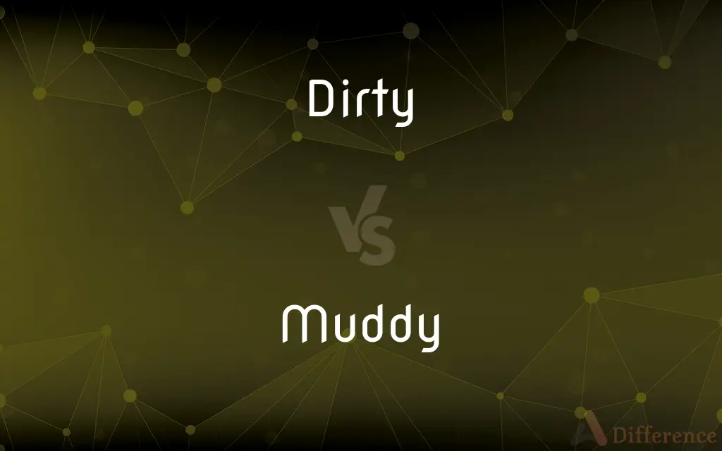 Dirty vs. Muddy — What's the Difference?