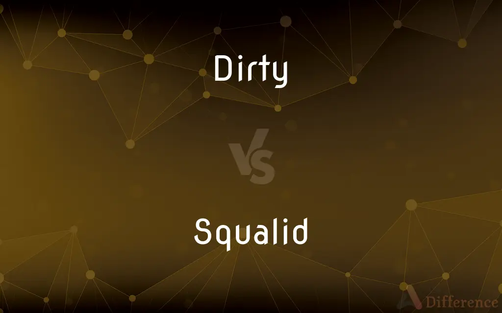 Dirty vs. Squalid — What's the Difference?