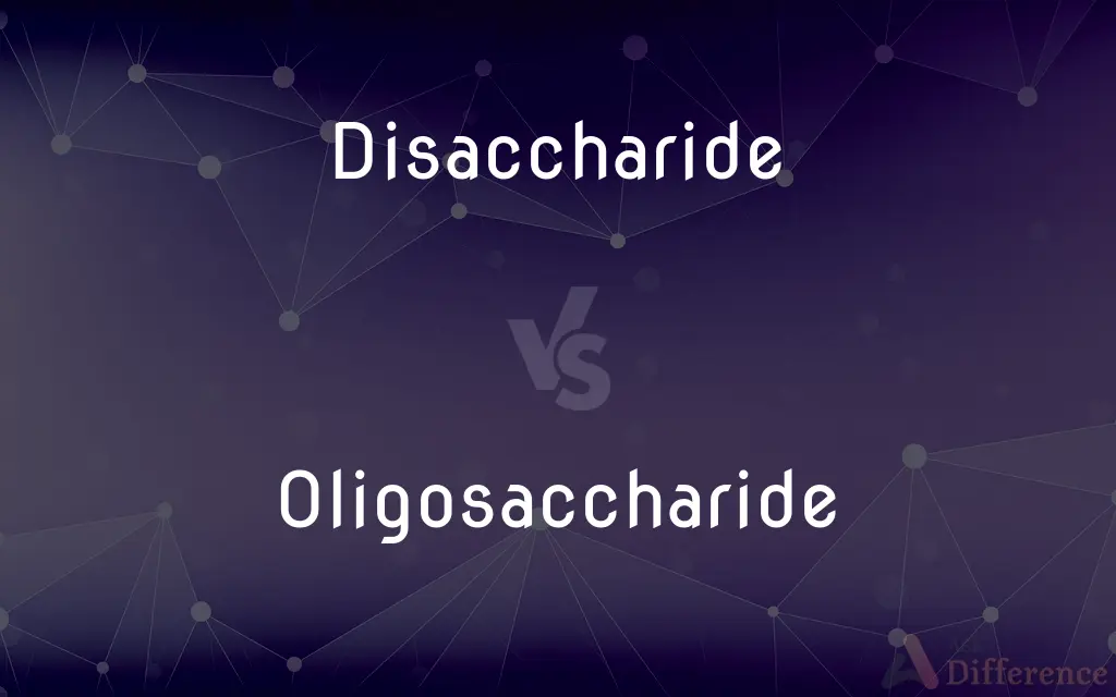 Disaccharide vs. Oligosaccharide