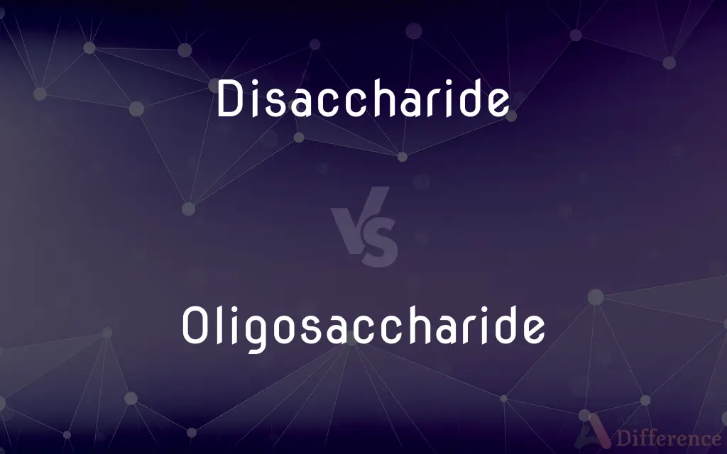 Disaccharide vs. Oligosaccharide — What's the Difference?