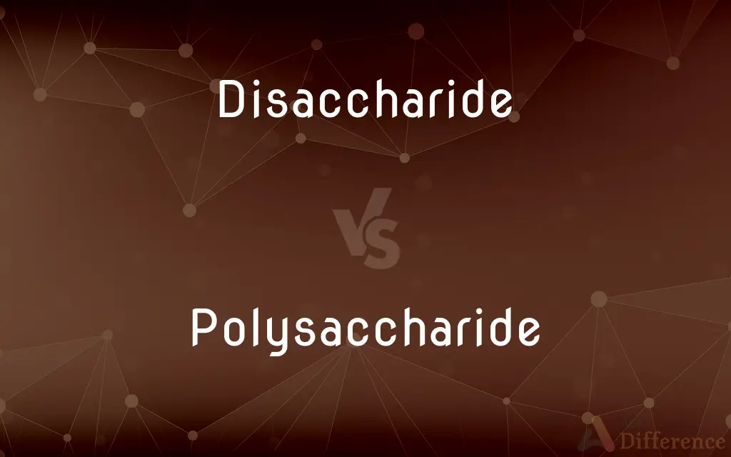 Disaccharide vs. Polysaccharide — What's the Difference?
