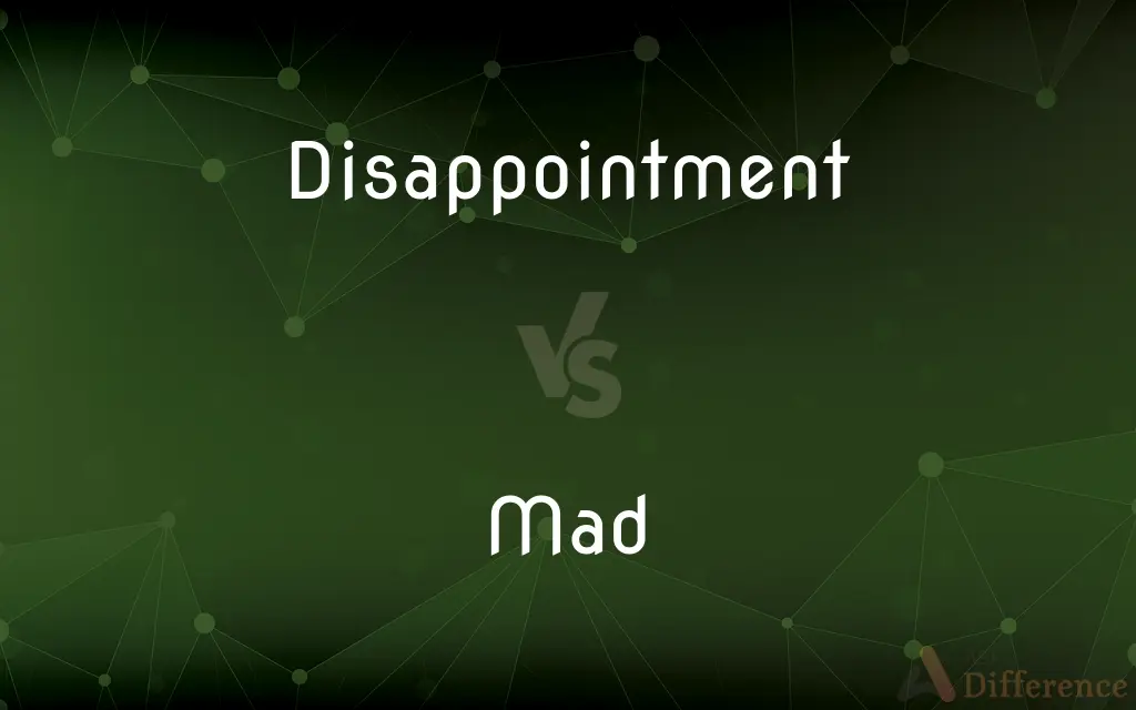 Disappointment vs. Mad — What's the Difference?