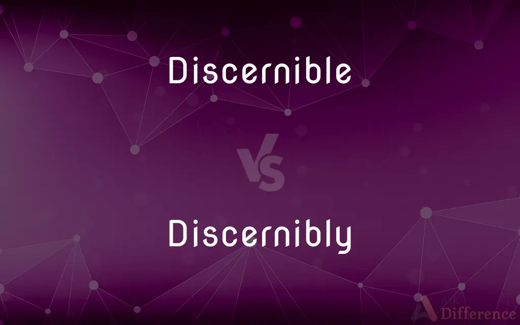 Discernible vs. Discernibly — What's the Difference?