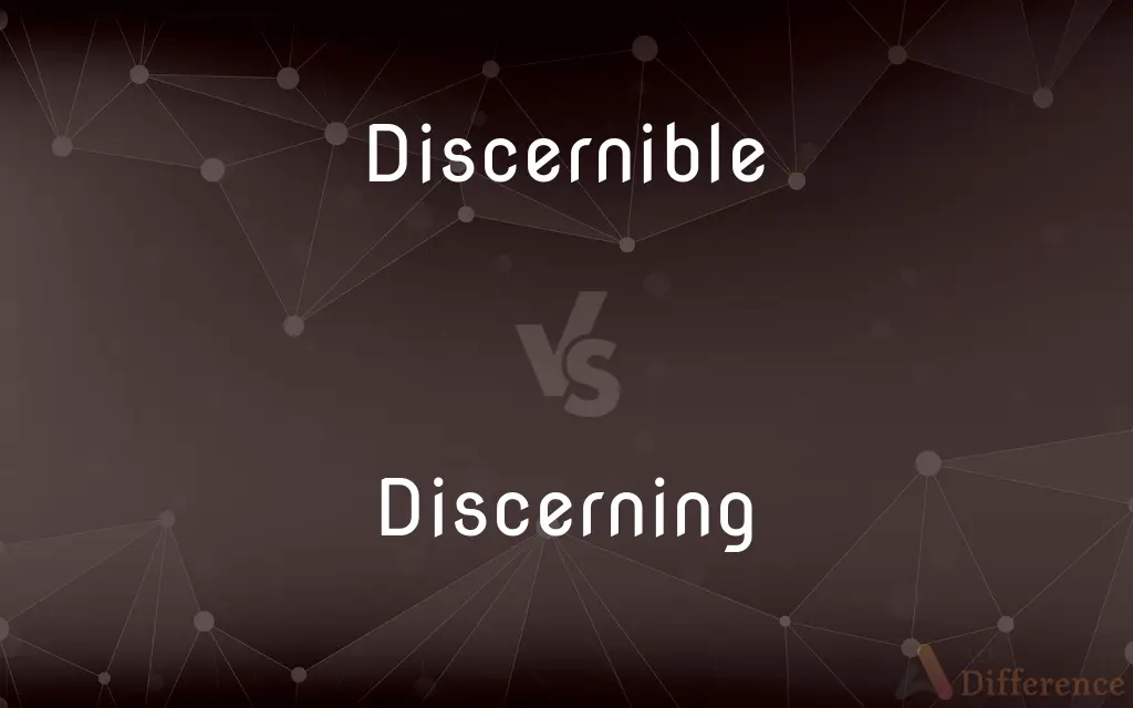 Discernible vs. Discerning — What's the Difference?