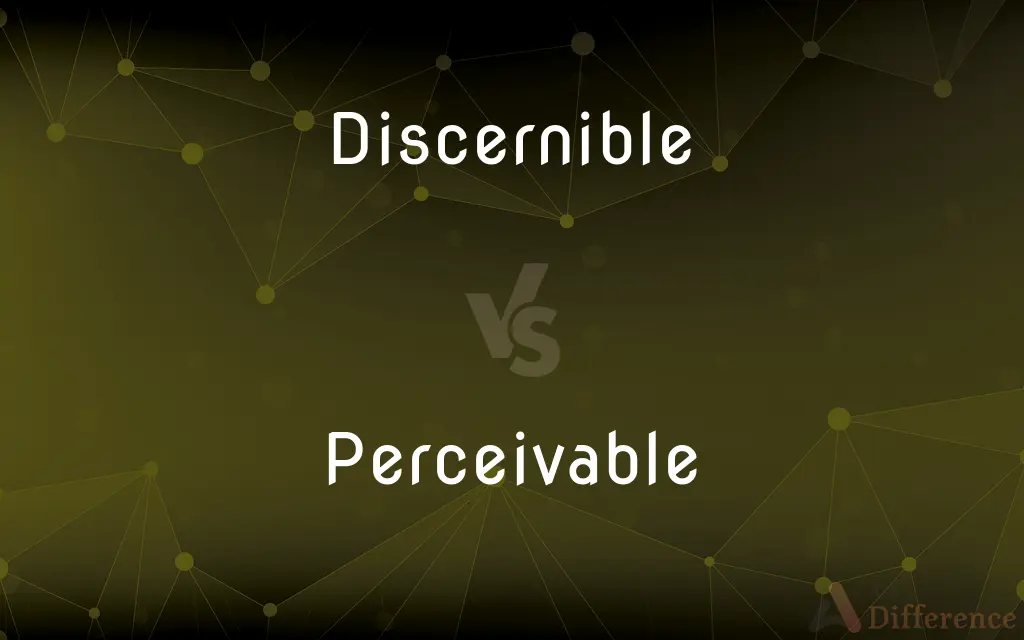 Discernible vs. Perceivable — What's the Difference?