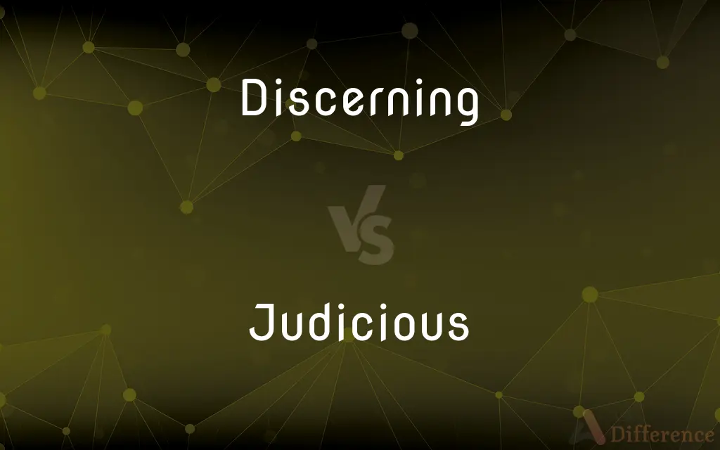 Discerning vs. Judicious — What's the Difference?