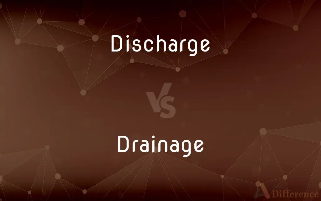 Discharge vs. Drainage — What's the Difference?