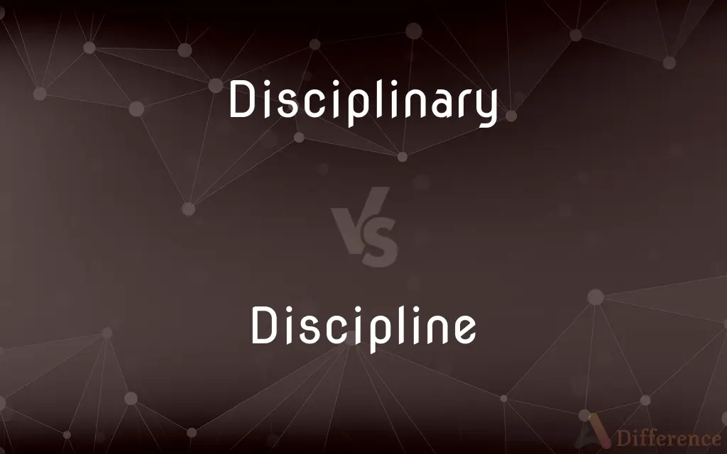 Disciplinary vs. Discipline — What's the Difference?