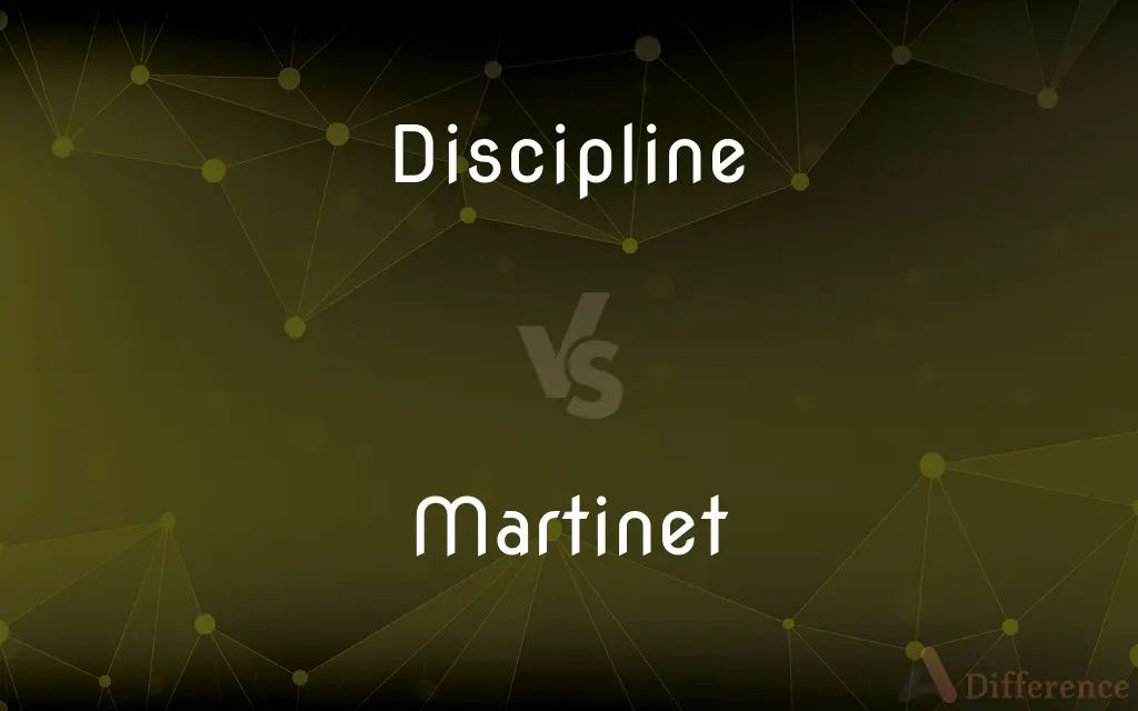 Discipline vs. Martinet — What's the Difference?