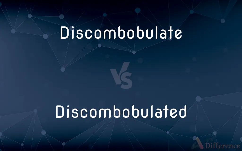 Discombobulate vs. Discombobulated — What's the Difference?