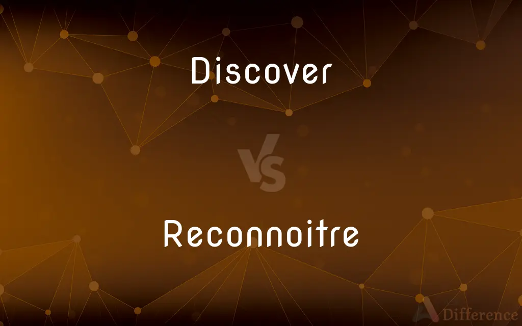 Discover vs. Reconnoitre — What's the Difference?