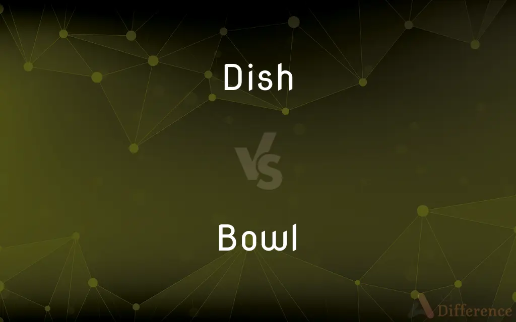 Dish vs. Bowl — What's the Difference?