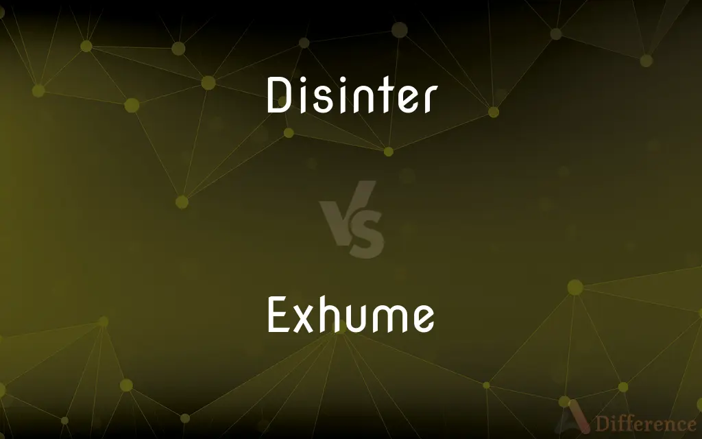 Disinter vs. Exhume — What's the Difference?