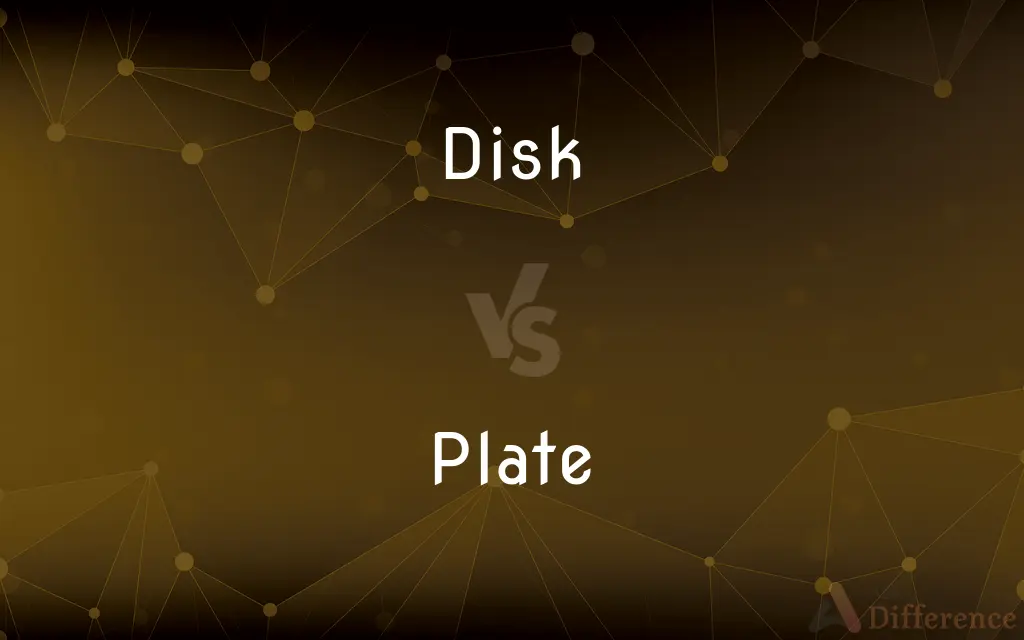 Disk vs. Plate — What's the Difference?