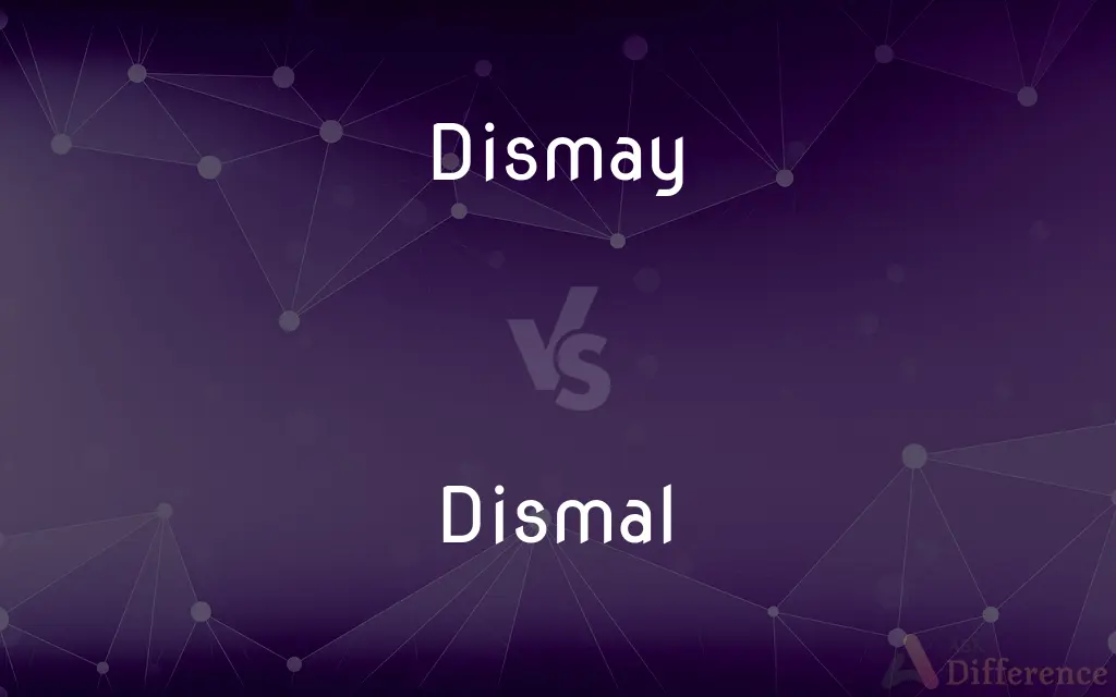 Dismay vs. Dismal — What's the Difference?
