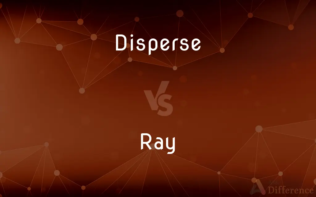 Disperse vs. Ray — What's the Difference?