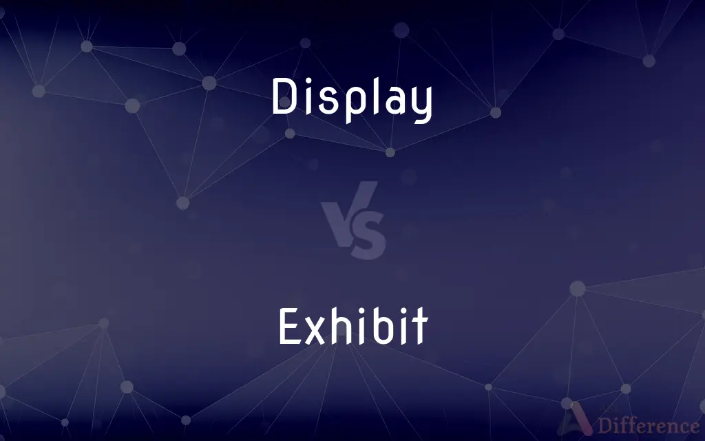 Display vs. Exhibit — What's the Difference?